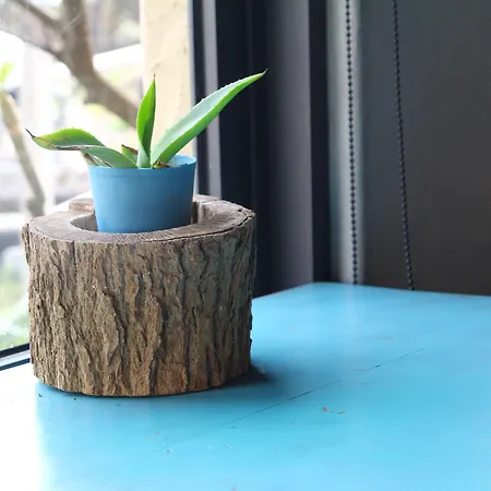 Privatunterkunft West Old House *