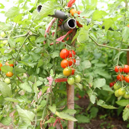 West Old House * Kenting-Nationalpark