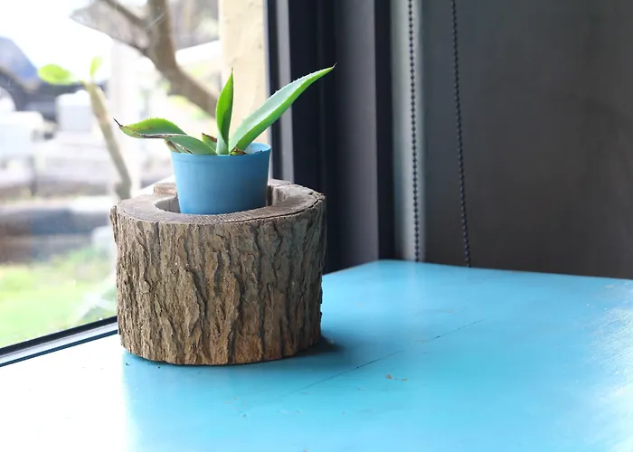 Séjour chez l'habitant West Old House *